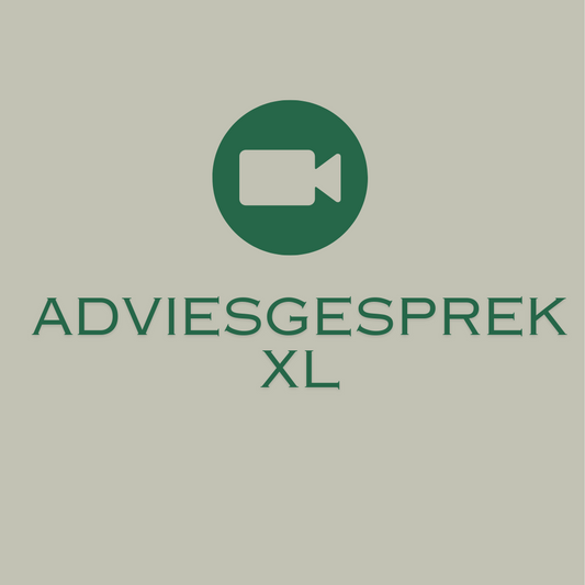 Adviesgesprek XL